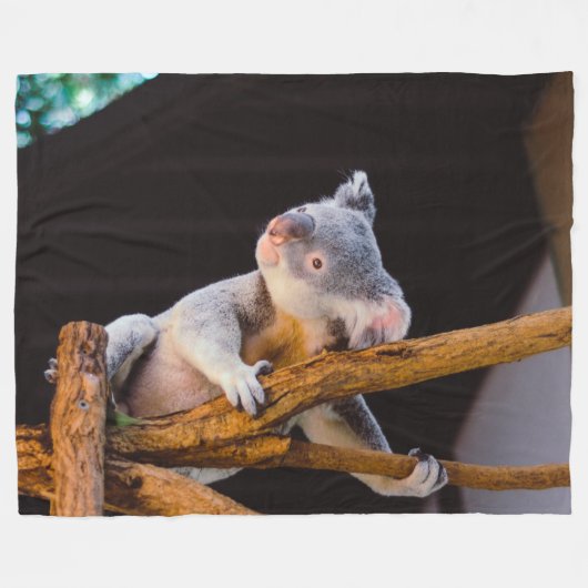 KOWALA BEER FLEECE DEKEN (Voorkant (Horizontaal))