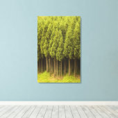 Koya Sugi Cedar Trees Canvas Afdruk (Insitu (Houten vloer))