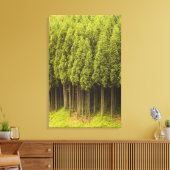 Koya Sugi Cedar Trees Canvas Afdruk (Insitu (Woonkamer))