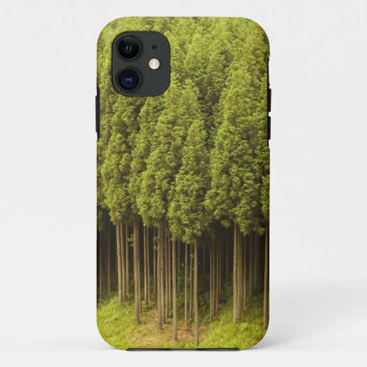 Koya Sugi Cedar Trees Case-Mate iPhone Case (Achterkant)