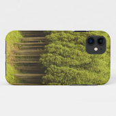 Koya Sugi Cedar Trees Case-Mate iPhone Case (Achterkant (horizontaal))