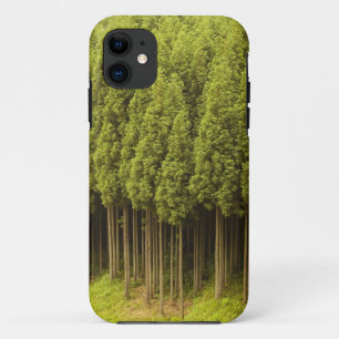 Koya Sugi Cedar Trees iPhone 11 Hoesje