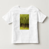 Koya Sugi Cedar Trees Kinder Shirts (Voorkant)