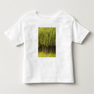 Koya Sugi Cedar Trees Kinder Shirts