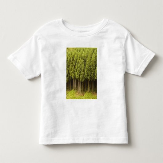 Koya Sugi Cedar Trees Kinder Shirts (Voorkant)
