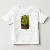 Koya Sugi Cedar Trees Kinder Shirts (Voorkant)