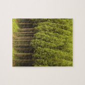 Koya Sugi Cedar Trees Legpuzzel (Horizontaal)