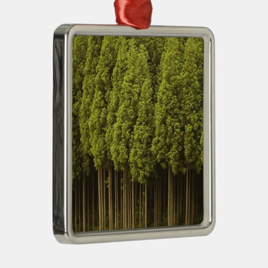 Koya Sugi Cedar Trees Metalen Ornament (Rechts)