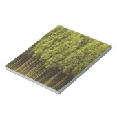 Koya Sugi Cedar Trees Notitieblok (Linkerzijde)