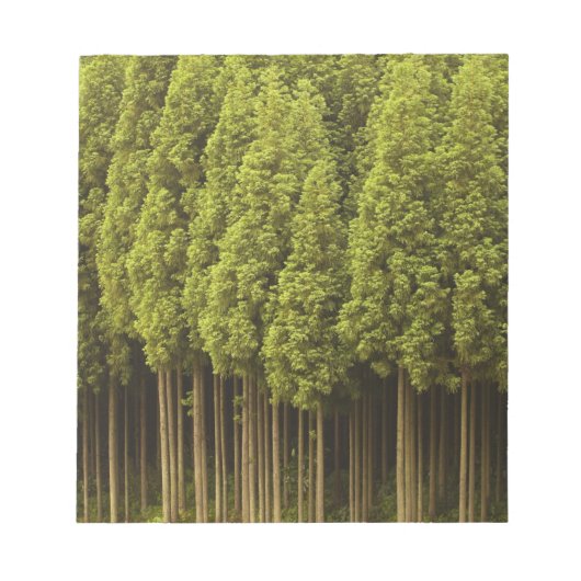 Koya Sugi Cedar Trees Notitieblok (Voorkant)