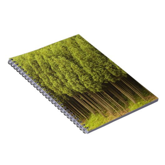 Koya Sugi Cedar Trees Notitieboek (Rechterzijde)