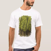 Koya Sugi Cedar Trees T-shirt (Voorkant)
