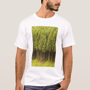 Koya Sugi Cedar Trees T-shirt