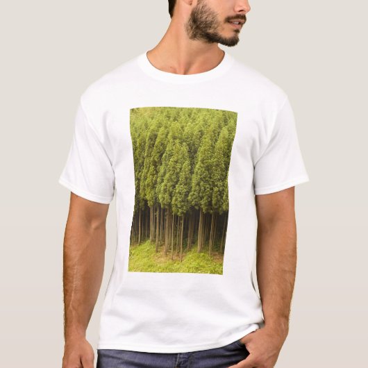 Koya Sugi Cedar Trees T-shirt (Voorkant)