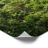 Kpalingwatervallen. Centraal Togo, West-Afrika 2 Poster (Hoek)