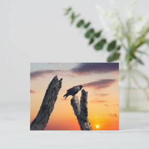 Kraai bij zonsopgang briefkaart