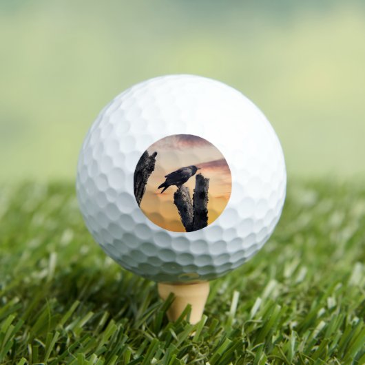 Kraai bij zonsopgang golfballen (Insitu Shirt)