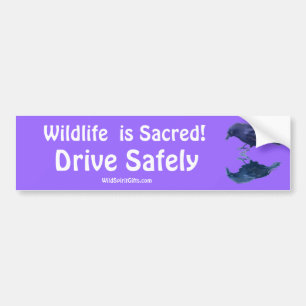 KRAAI COLLECTIE BUMPERSTICKER
