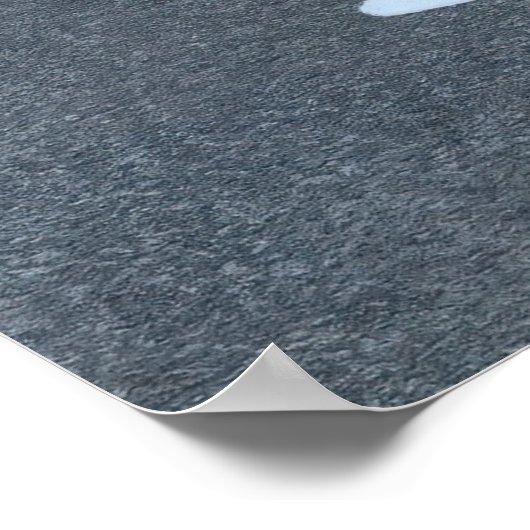 Kraai en ekster poster (Hoek)