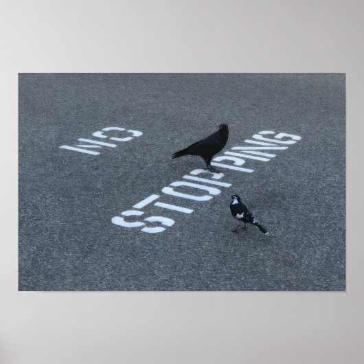 Kraai en Ekster Poster (Voorkant)