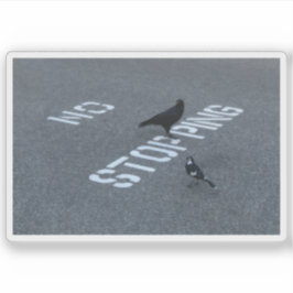 Kraai en ekster sticker
