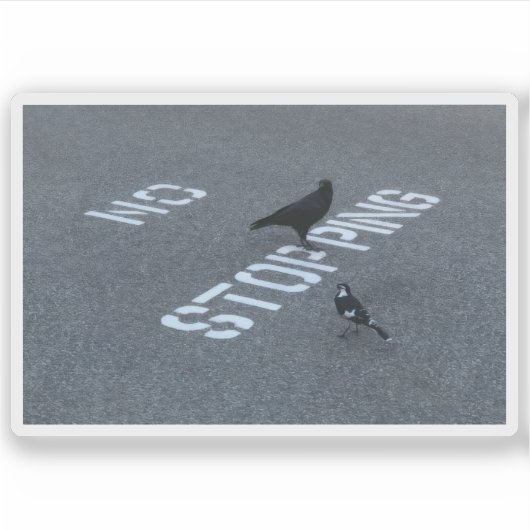 Kraai en ekster sticker (Voorkant)