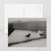 Kraai en waterplas met dakreflecties 3 briefkaart (Voorkant / Achterkant)