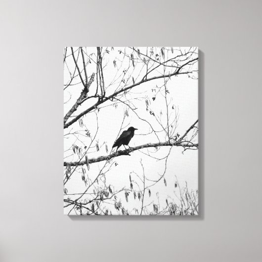 Kraai in een berkenboom canvas afdruk (Voorkant)