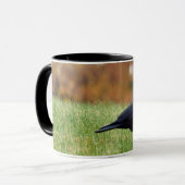 Kraai in gras mok (Voorkant links)