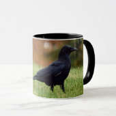 Kraai in gras mok (Voorkant rechts)