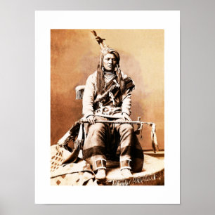 Kraai-indiaan 1880 poster