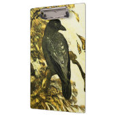 kraai op een tak Theo van Hoytema Klembord (Links)