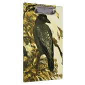 kraai op een tak Theo van Hoytema Klembord (Rechts)