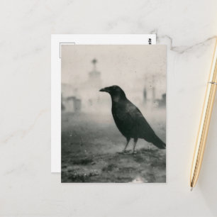 kraai op het kerkhof in vintage stijl briefkaart