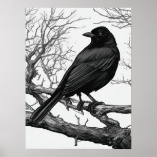 Kraai op kale wintertakken poster