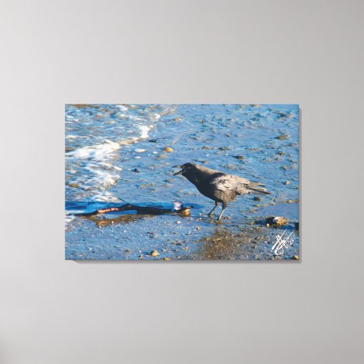 Kraai op Mutiny Bay Canvas Afdruk (Voorkant)