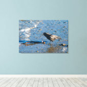 Kraai op Mutiny Bay Canvas Afdruk (Insitu (Houten vloer))