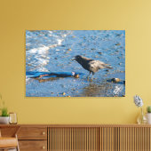 Kraai op Mutiny Bay Canvas Afdruk (Insitu (Woonkamer))