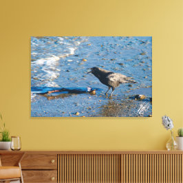 Kraai op Mutiny Bay Canvas Afdruk