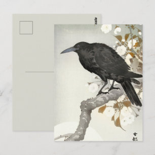 Kraai Raven Koson Japanse Vogel Kraai Briefkaart