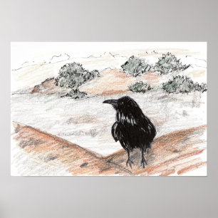 Kraai Vogel Woestijn Landschap Rode Rotsen Natuur Poster