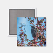 Kraai zegt hallo magneet (Voorkant / Achterkant)