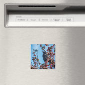 Kraai zegt hallo magneet (Insitu (Vaatwasser))