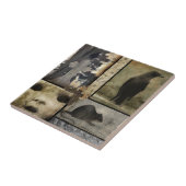 kraaieigenaardigheden tegeltje (Zijkant)