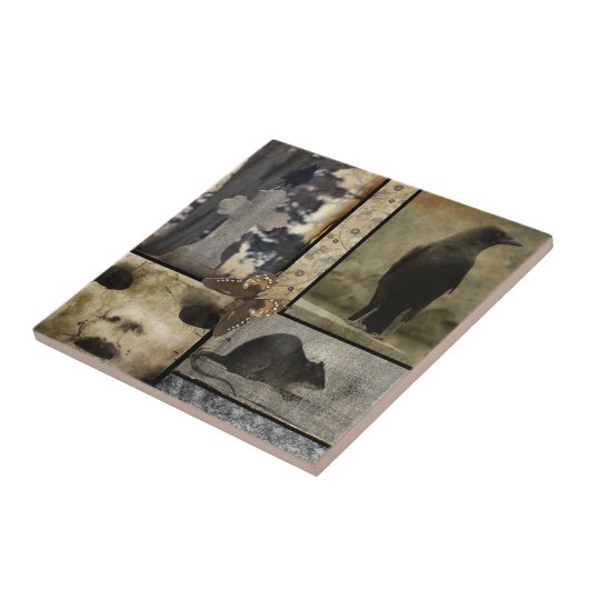 kraaieigenaardigheden tegeltje (Zijkant)