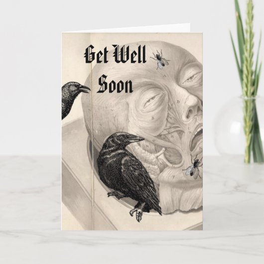 Kraaien en lijken worden snel beter kaart (Voorkant)