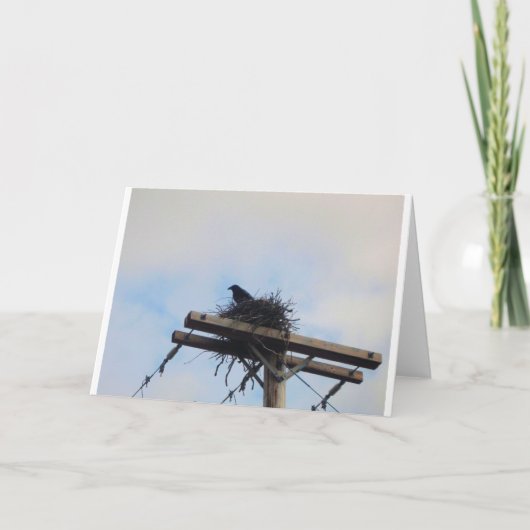 Kraaien Nest in Ak Kaart (Voorkant)