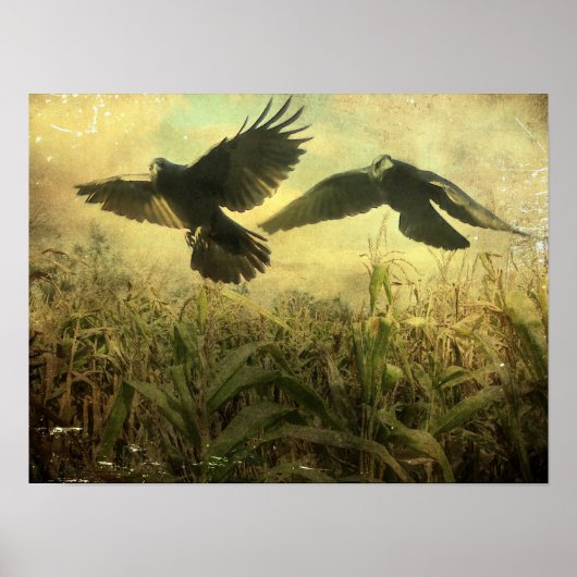 Kraaien van de Korn Poster (Voorkant)