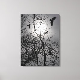 Kraaien zonlicht boom takken silhouet landschap canvas afdruk
