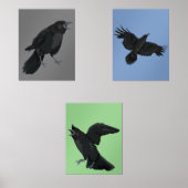 Kraaien Zwart Vogels Ravens Print Set (Voorkant)
